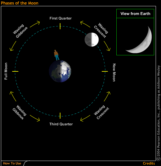 Phases of the Moon